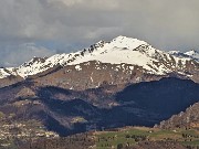 MONTE ZUCCO (1232 m) ad anello da casa-Zogno (300 m) con festa di fiori (17mar21)  - FOTOGALLERY